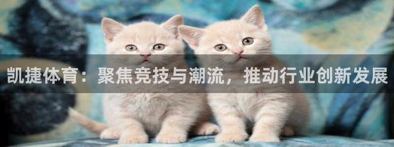 凯捷体育：聚焦竞技与潮流，推动行业创新发展